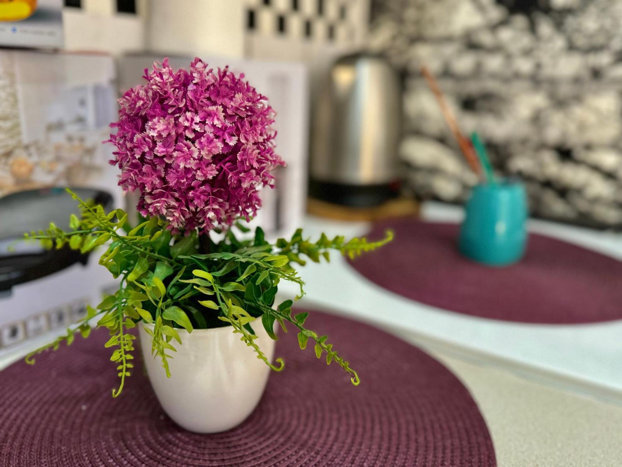 Aparthotel Maxim Kotor Dış mekan fotoğraf